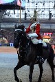 Cavalry - 00323